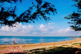 Tour Phan Thiết KDL Tà Cú Mũi Né 3 ngày