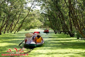 Tour Du Lịch Châu Đốc (Rừng Tràm Trà Sư) - Hà Tiên - Cần Thơ 4 Ngày 3 Đêm