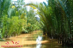 Tour Miền Tây Cái Bè - Vĩnh Long 1 Ngày