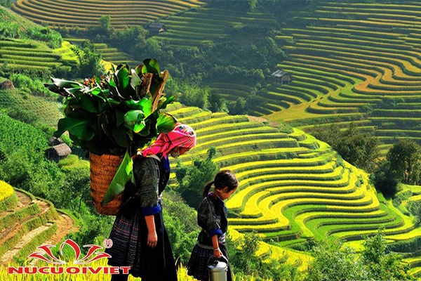 Tour Du Lịch Hà Nội - Sapa - Ninh Bình