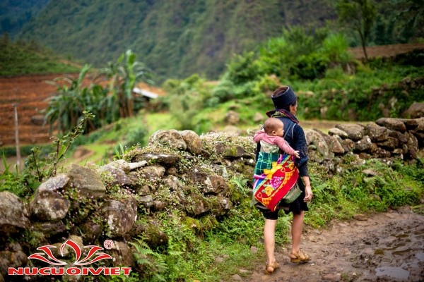 Tour du lịch Hà Nội - Hạ Long - Sapa