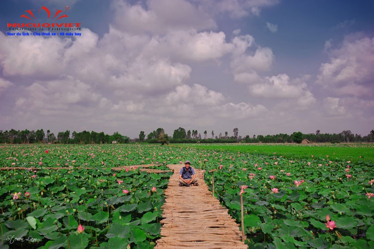 Tour Gáo Giồng và Tràm Chim Tam Nông đặc sắc 2 ngày 1 đêm